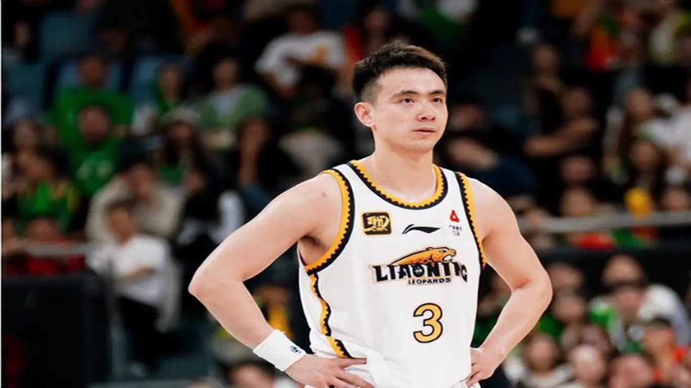 所在的沈阳, cn, 组织与精准