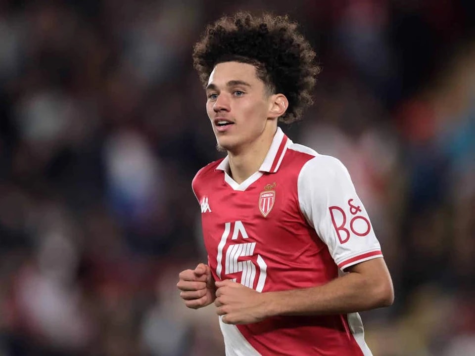 将他加入到, IMAGO