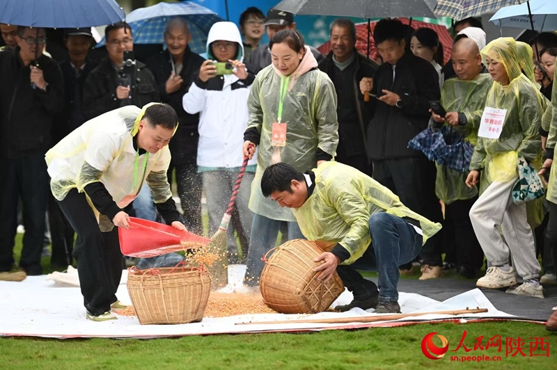 个主会场 个主会场